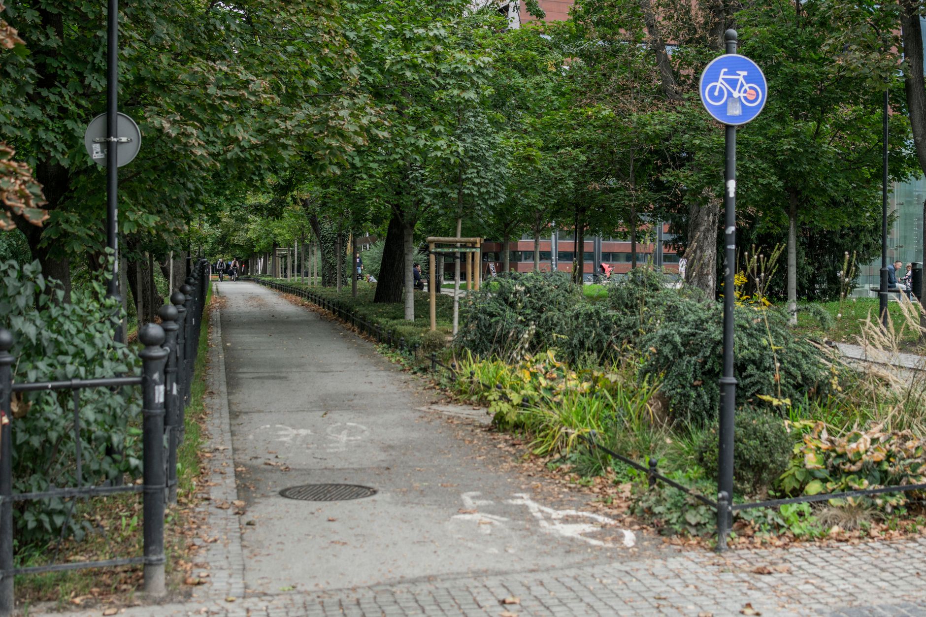 Une allée cyclable bordée d'arbres traversant un parc urbain