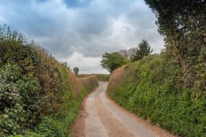 Un chemin creux encadré de hautes haies vives dans une campagne bocagère